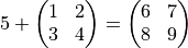 5 +
\begin{pmatrix}
   1 & 2 \\
   3 & 4
 \end{pmatrix}
 =
 \begin{pmatrix}
   6 & 7 \\
   8 & 9
 \end{pmatrix}